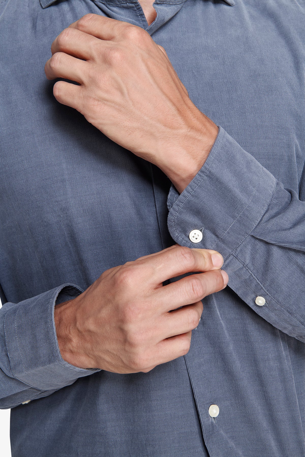 Camicia velluto millerighe leisure carta da zucchero